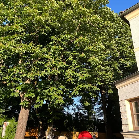 Nostress77 Garching an Der Alz
